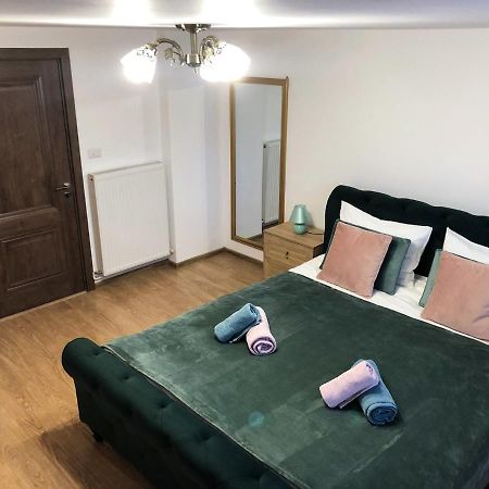 Ultra Central Apartment, Free Parking Oradea - Stray Cats 外观 照片