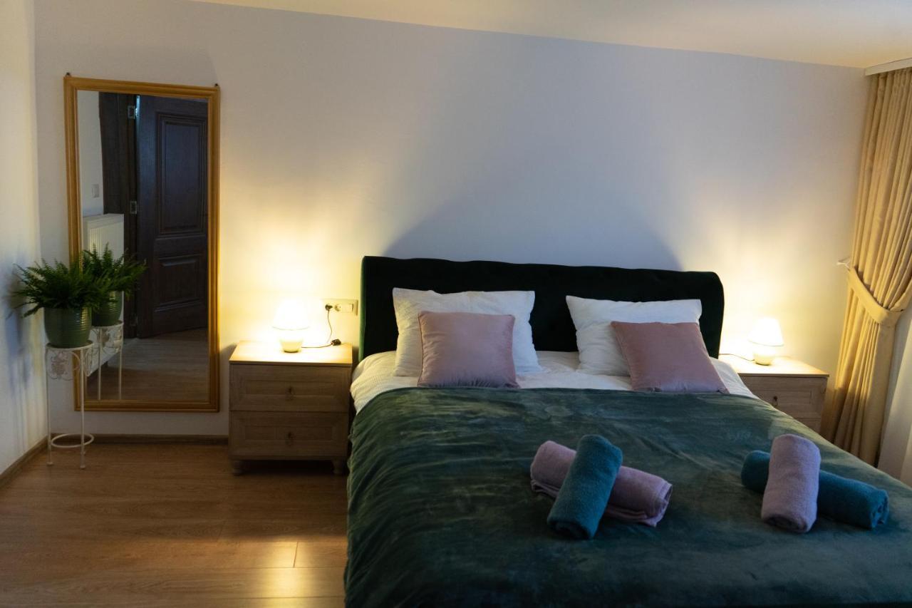 Ultra Central Apartment, Free Parking Oradea - Stray Cats 外观 照片