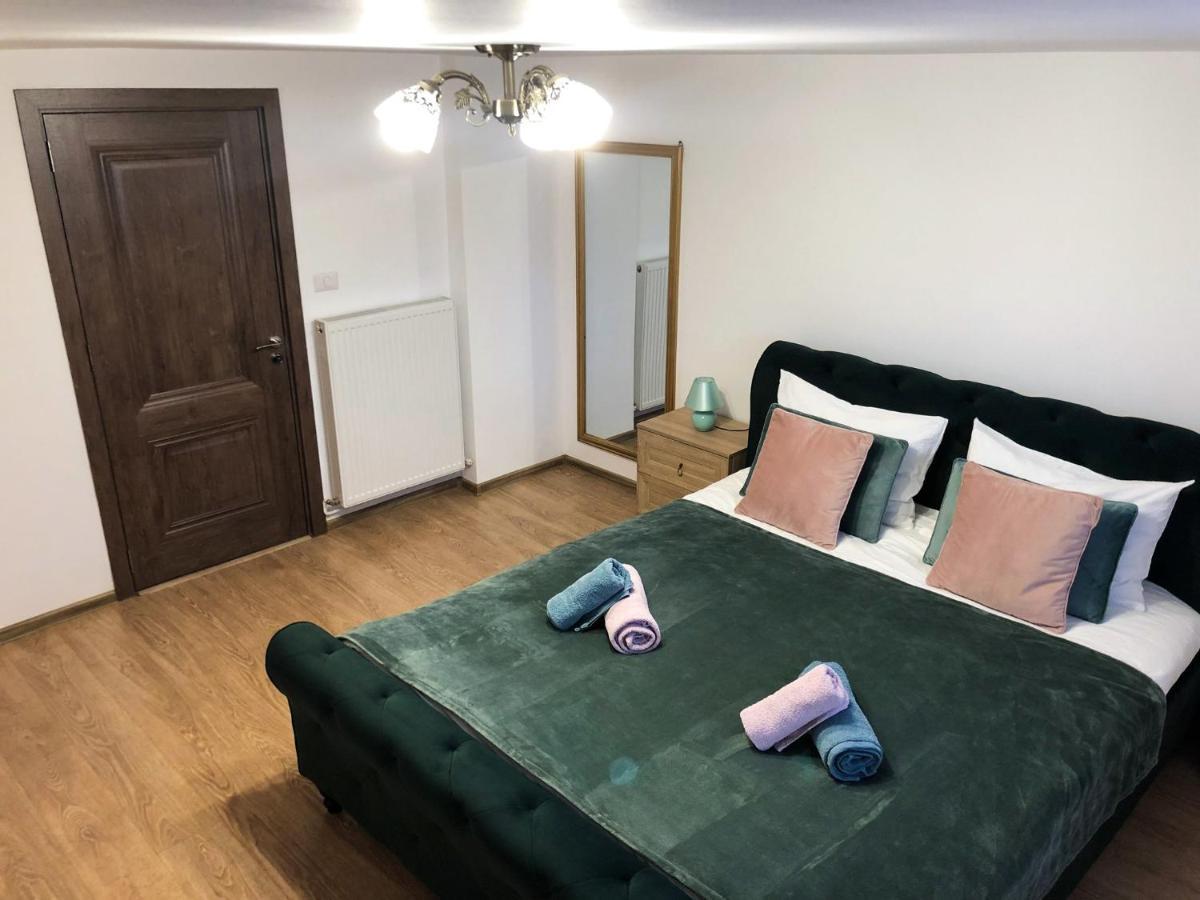 Ultra Central Apartment, Free Parking Oradea - Stray Cats 外观 照片